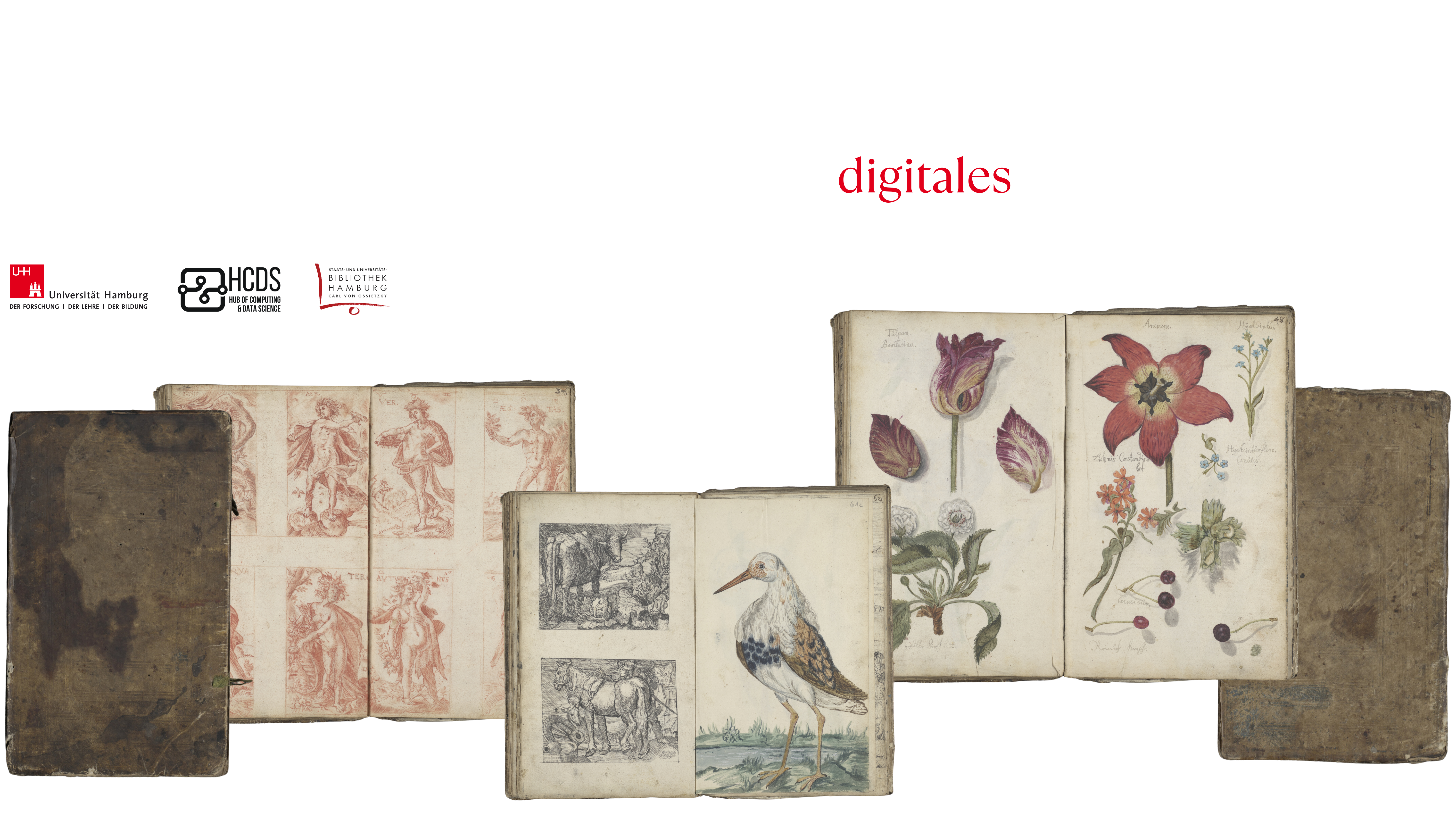 Levezow Album Titel